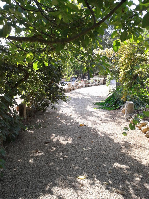 Tenuta La Spezia Carpignano Salentino Zewnętrze zdjęcie