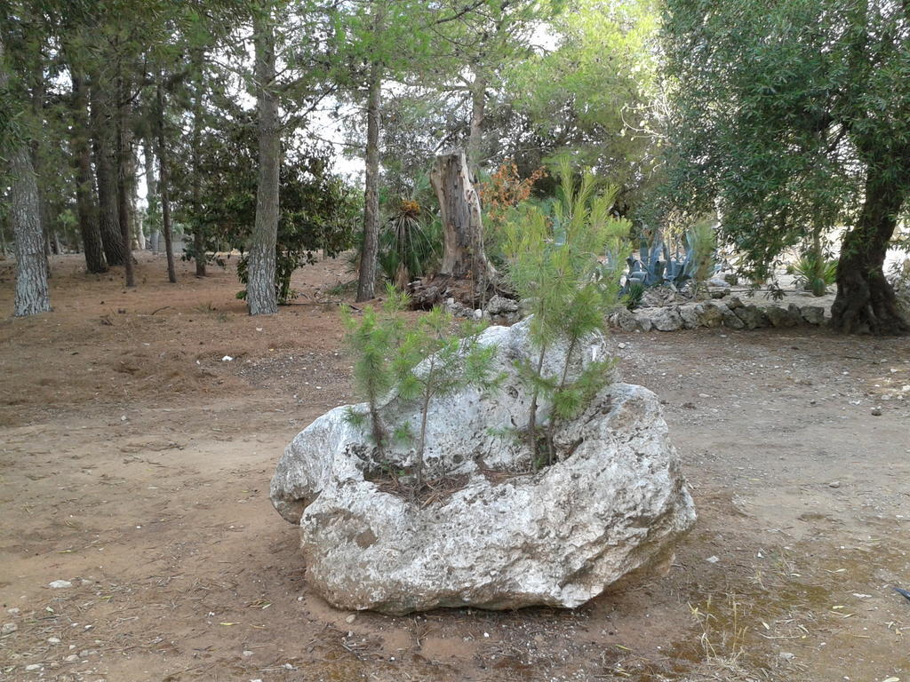 Tenuta La Spezia Carpignano Salentino Zewnętrze zdjęcie