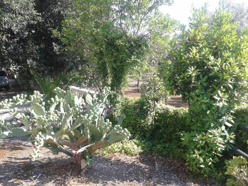 Tenuta La Spezia Carpignano Salentino Zewnętrze zdjęcie